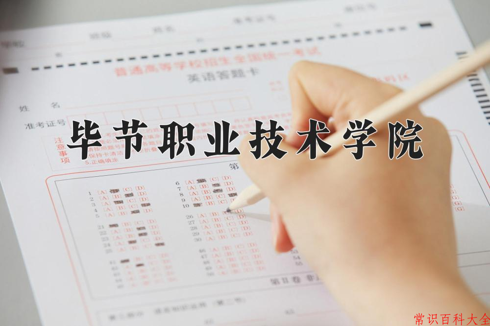 2024毕节职业技术学院录取分数线及位次一览：四川考生2025填报参考