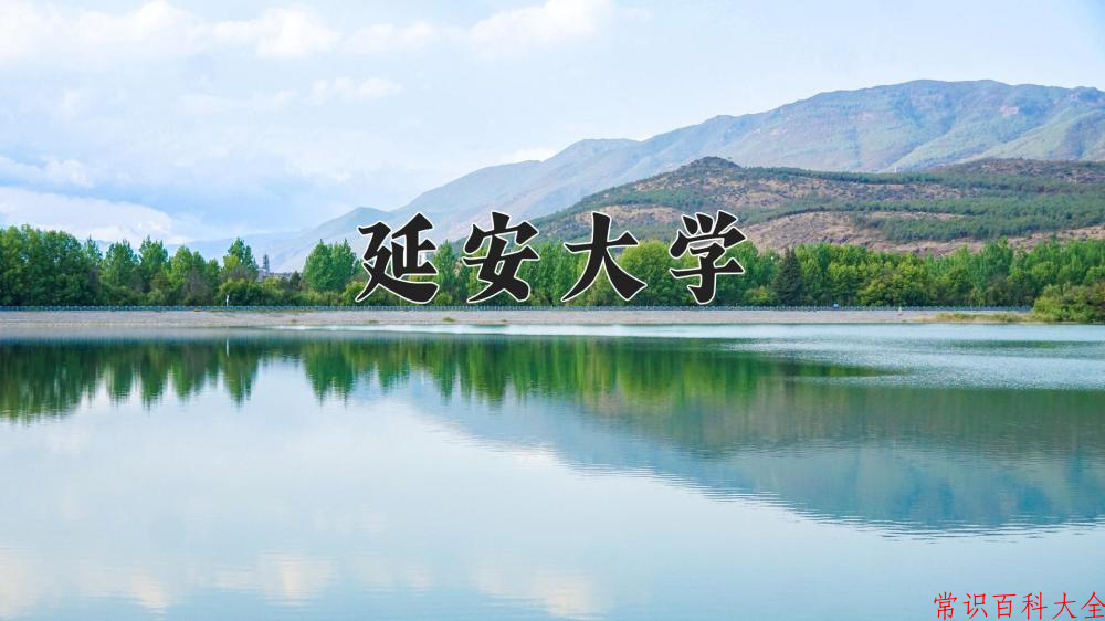 延安大学2024年各学科排名一览表！附教育部评级比例