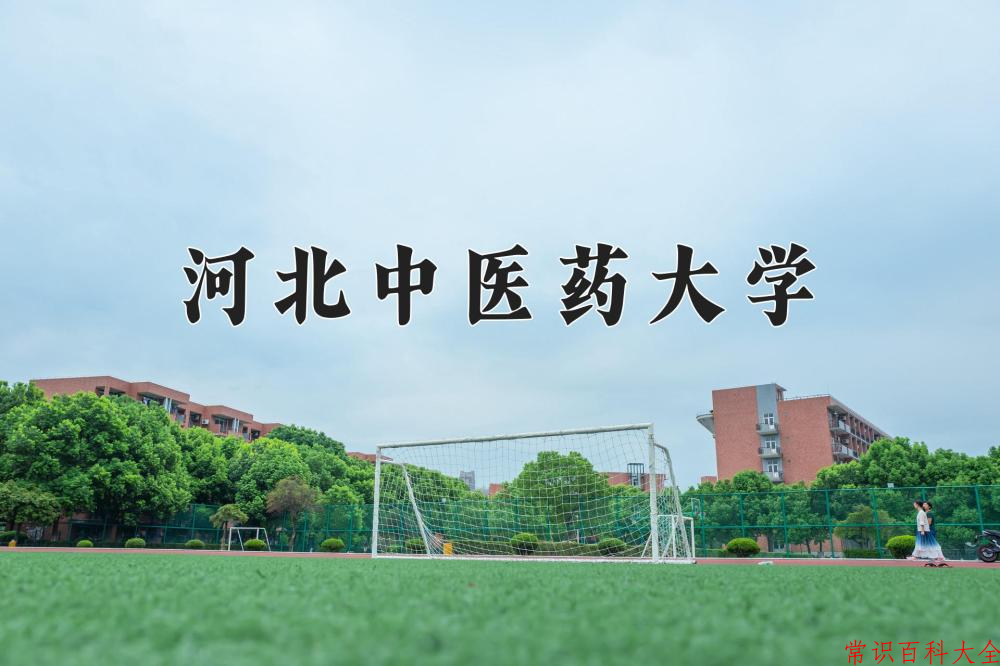 河北中医药大学2024年各学科排名一览表！附教育部评级比例