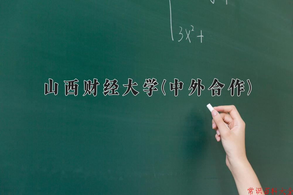 2024山西财经大学(中外合作)录取分数线及位次一览：四川考生2025填报参考