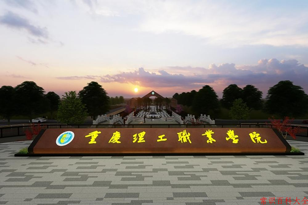 2024重庆理工职业学院录取分数线：山东最低291分