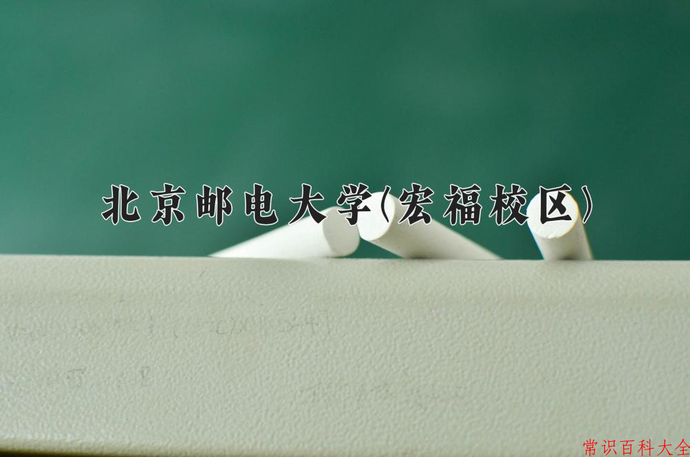 2024北京邮电大学(宏福校区)录取分数线：山东最低598分