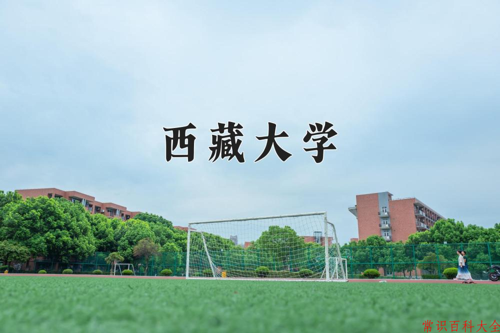 2024西藏大学录取分数线及位次一览：重庆考生2025填报参考