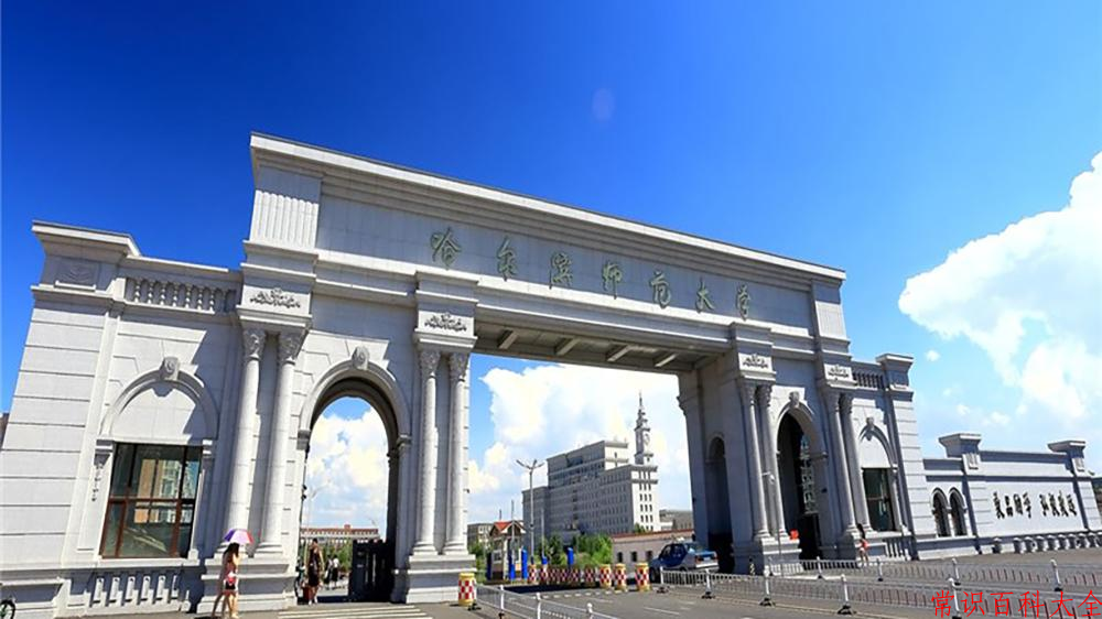 2024哈尔滨师范大学录取分数线及位次一览：重庆考生2025填报参考