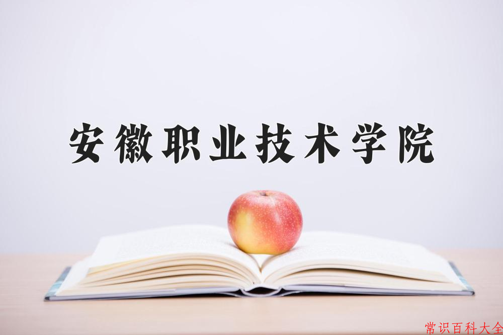 2024安徽职业技术学院录取分数线及位次一览：四川考生2025填报参考