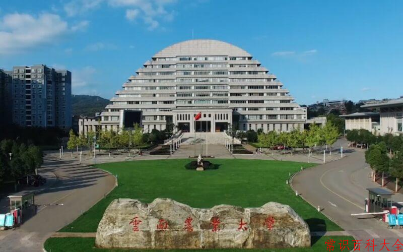 2024云南农业大学录取分数线及位次一览：重庆考生2025填报参考