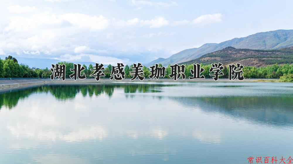 2024湖北孝感美珈职业学院录取分数线：山东最低258分