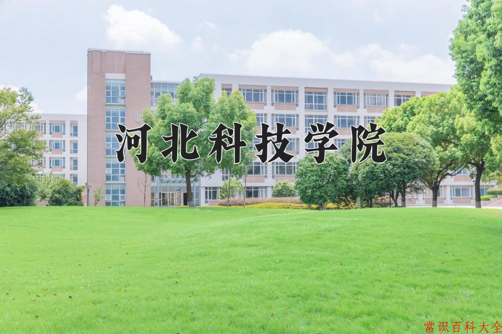 宁夏407分能上什么大学？附2025年可以报考的大学名单