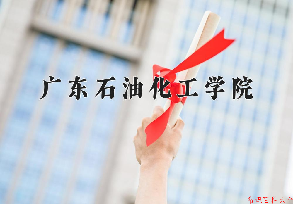 2024广东石油化工学院录取分数线及位次一览：重庆考生2025填报参考