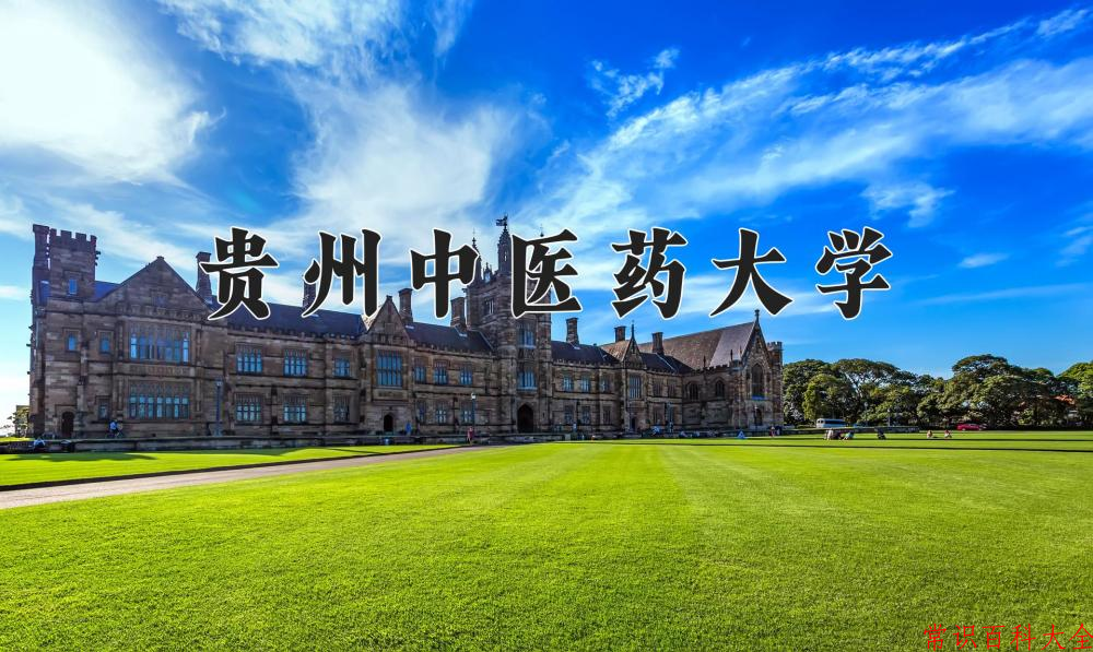 2024贵州中医药大学录取分数线及位次一览：重庆考生2025填报参考