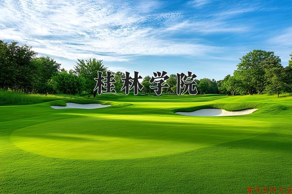 2024年桂林学院在山西计划招生人数（附学费及专业录取分)