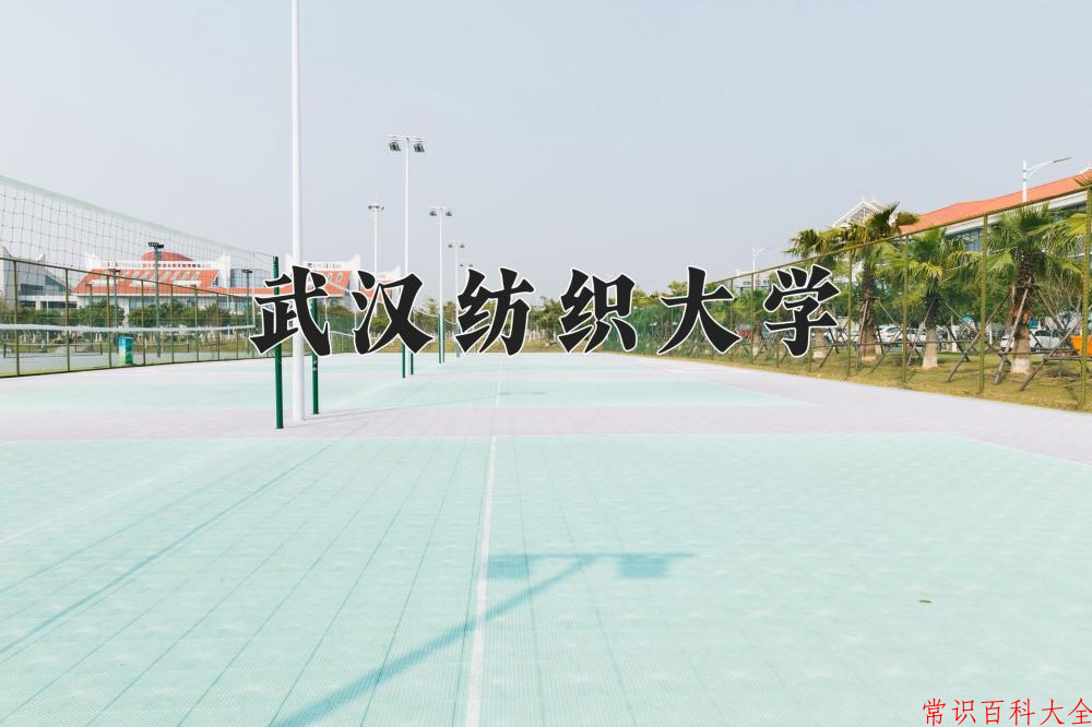 2024武汉纺织大学录取分数线及位次一览：重庆考生2025填报参考