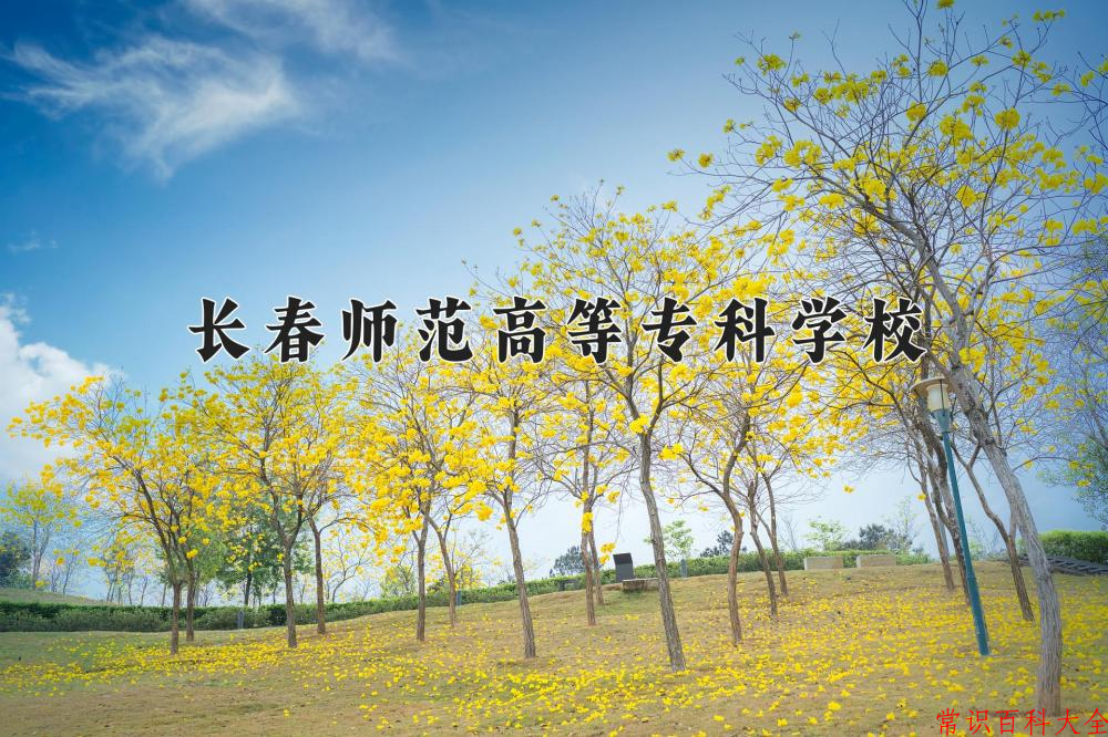 2024年长春师范高等专科学校在山西计划招生人数（附学费及专业录取分)