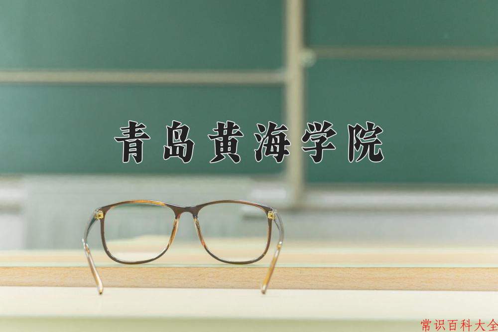 2024青岛黄海学院录取分数线及位次一览：重庆考生2025填报参考