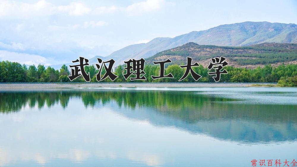 2024武汉理工大学录取分数线：浙江最低618分