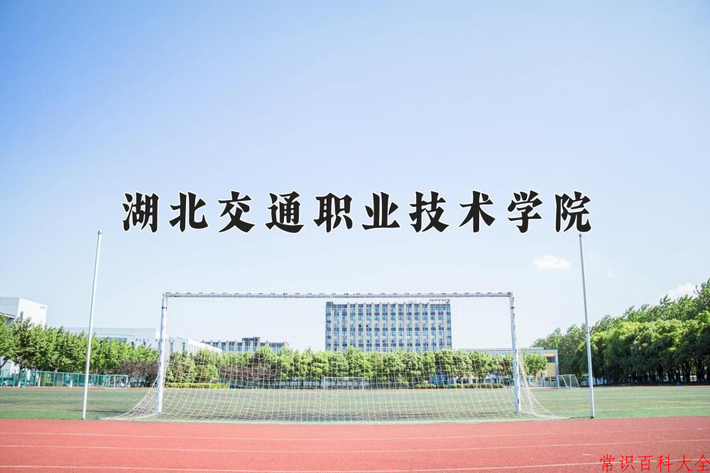 2024湖北交通职业技术学院录取分数线及位次一览：重庆考生2025填报参考