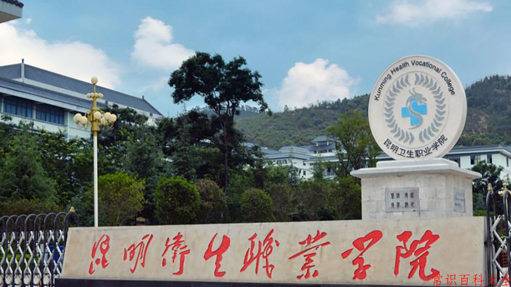 2024昆明卫生职业学院录取分数线：山东最低236分