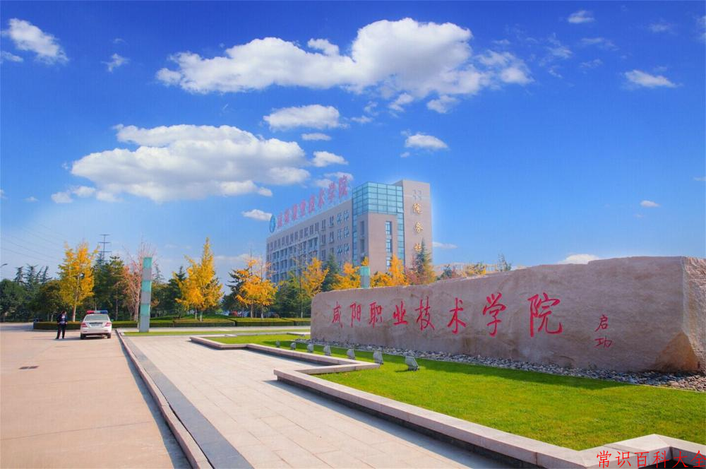 咸阳职业技术学院录取分数线(陕西2023-2021录取最低分)