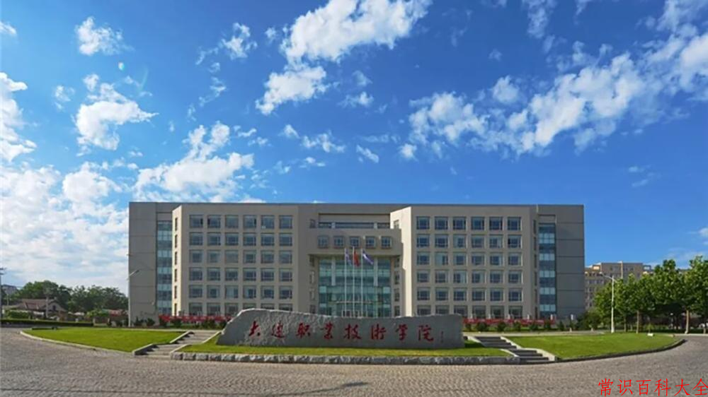 2024大连职业技术学院录取分数线及位次一览：重庆考生2025填报参考