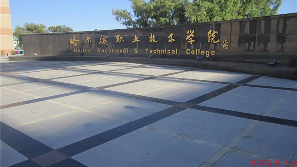 2024年哈尔滨职业技术大学在青海计划招生人数（附学费及专业录取分)