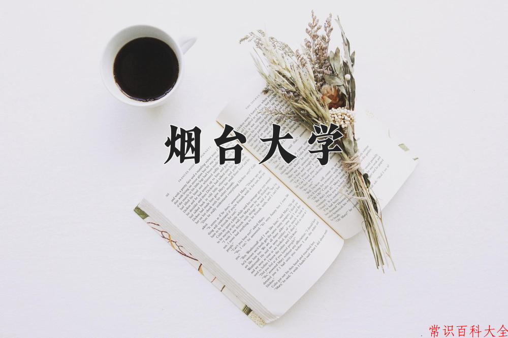 烟台大学好不好？附烟台大学最好的专业排名