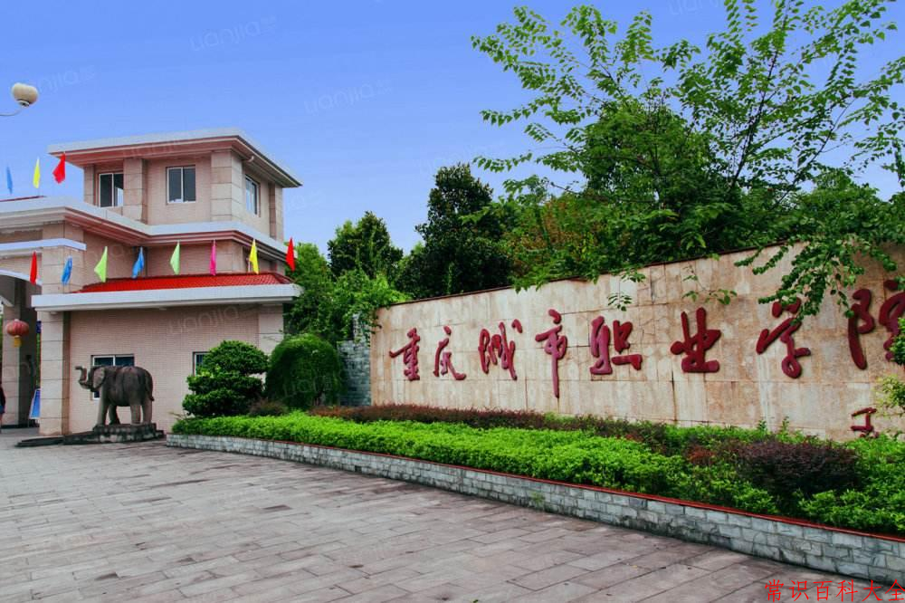 2024重庆城市职业学院录取分数线及位次一览：四川考生2025填报参考