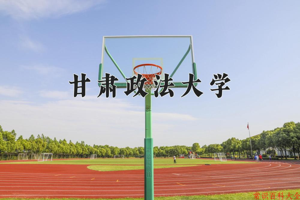 2024甘肃政法大学录取分数线及位次一览：重庆考生2025填报参考