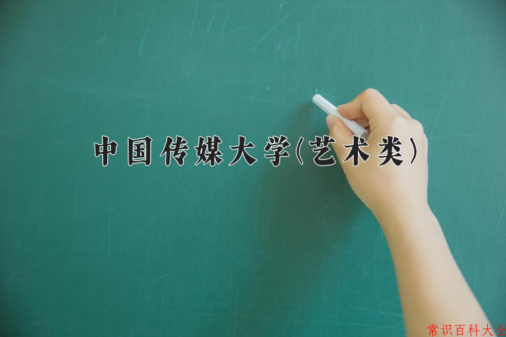 2024中国传媒大学(艺术类)录取分数线及位次一览：四川考生2025填报参考