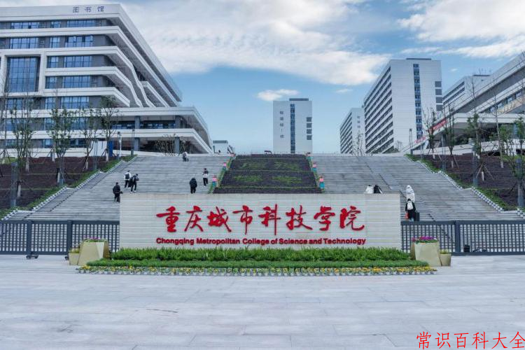 2024重庆城市科技学院录取分数线及位次一览：重庆考生2025填报参考