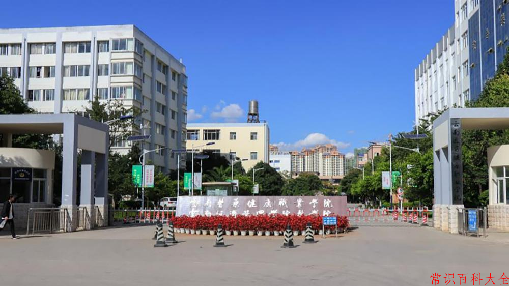 2024年云南医药健康职业学院在宁夏计划招生人数(附学费及专业录取分)