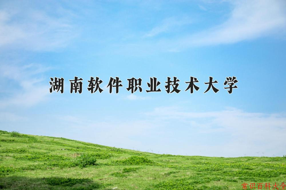 2024湖南软件职业技术大学录取分数线及位次一览：四川考生2025填报参考