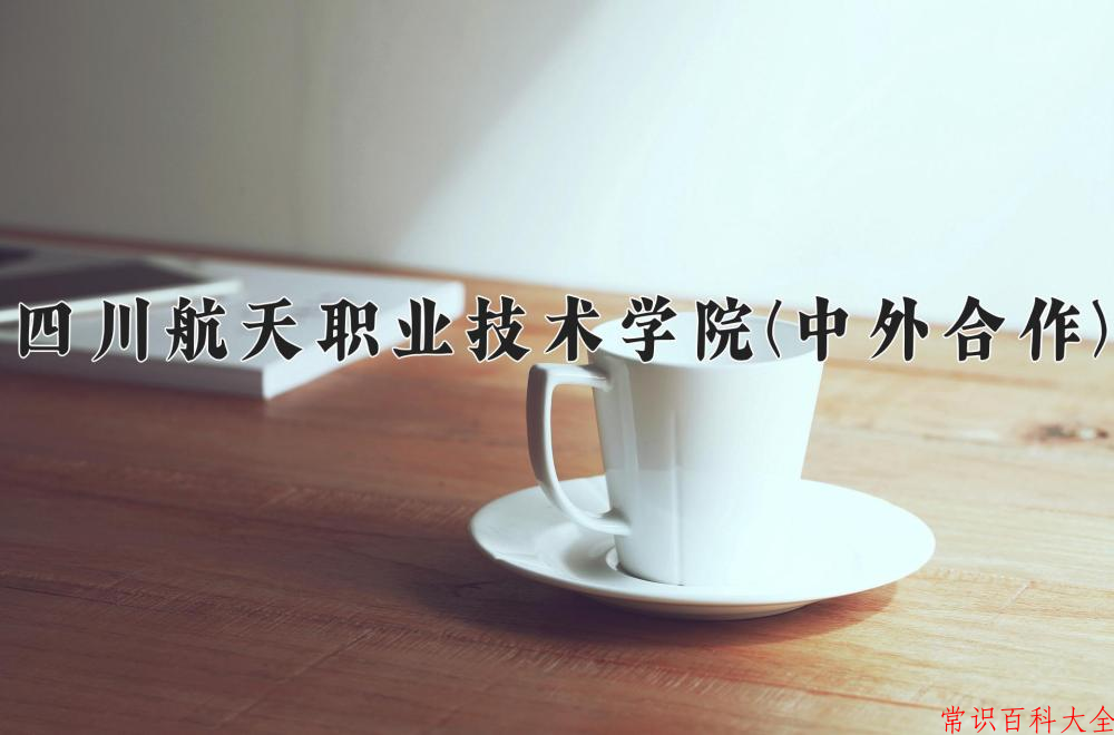 2024四川航天职业技术学院(中外合作)录取分数线及位次一览：四川考生2025填报参考