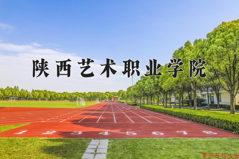 2024年陕西艺术职业学院在青海计划招生人数（附学费及专业录取分)