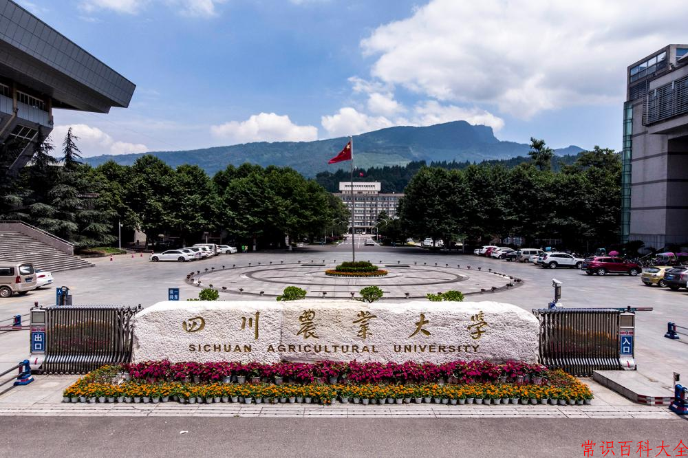 2024年四川农业大学在青海计划招生人数（附学费及专业录取分)