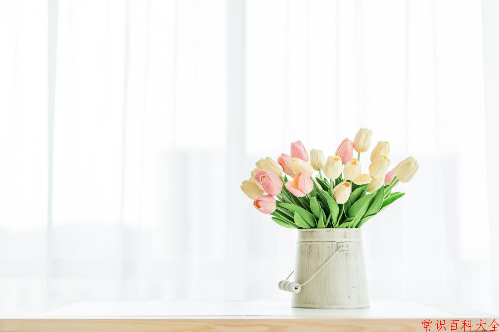 2024年永州师范高等专科学校在广东计划招生人数（附学费及专业录取分）