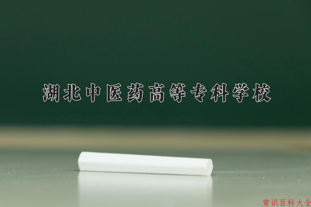 2024年湖北中医药高等专科学校在青海计划招生人数（附学费及专业录取分)