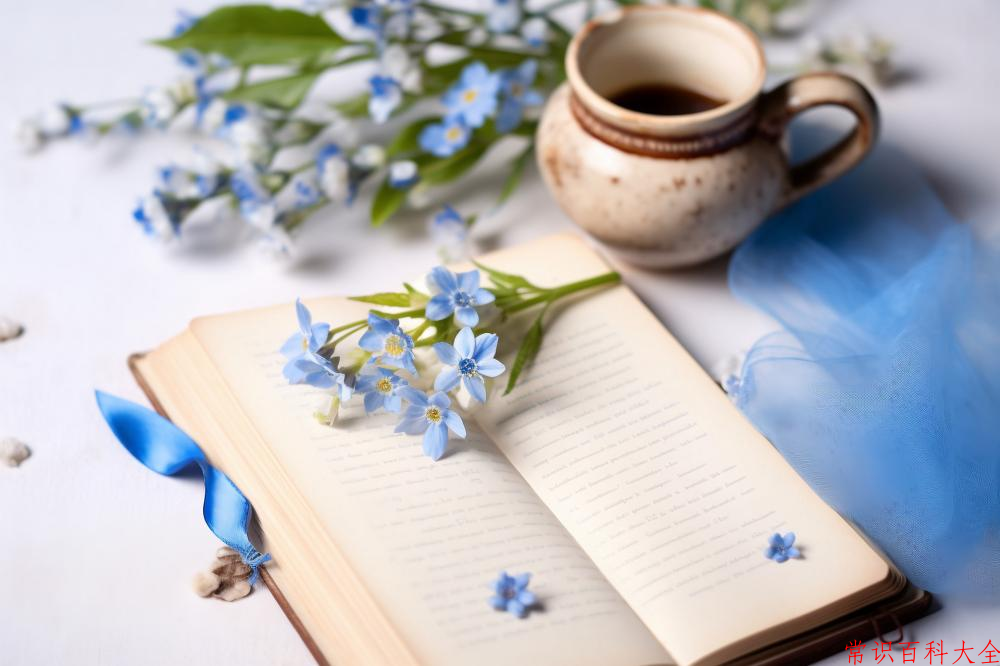 2024年香港珠海学院在广东计划招生人数（附学费及专业录取分）