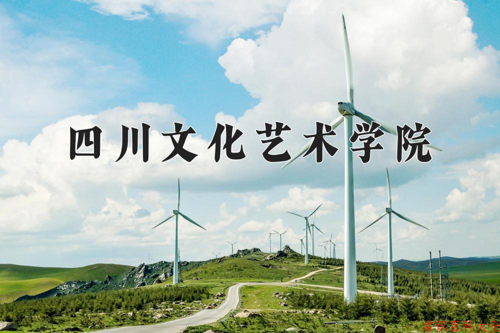 2024年四川文化艺术学院在山西计划招生人数（附学费及专业录取分)