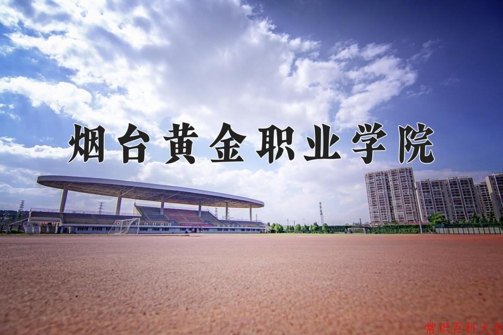2024年烟台黄金职业学院在山西计划招生人数（附学费及专业录取分)