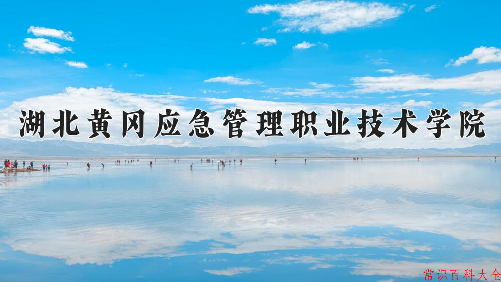 2024年湖北黄冈应急管理职业技术学院在山西计划招生人数（附学费及专业录取分)