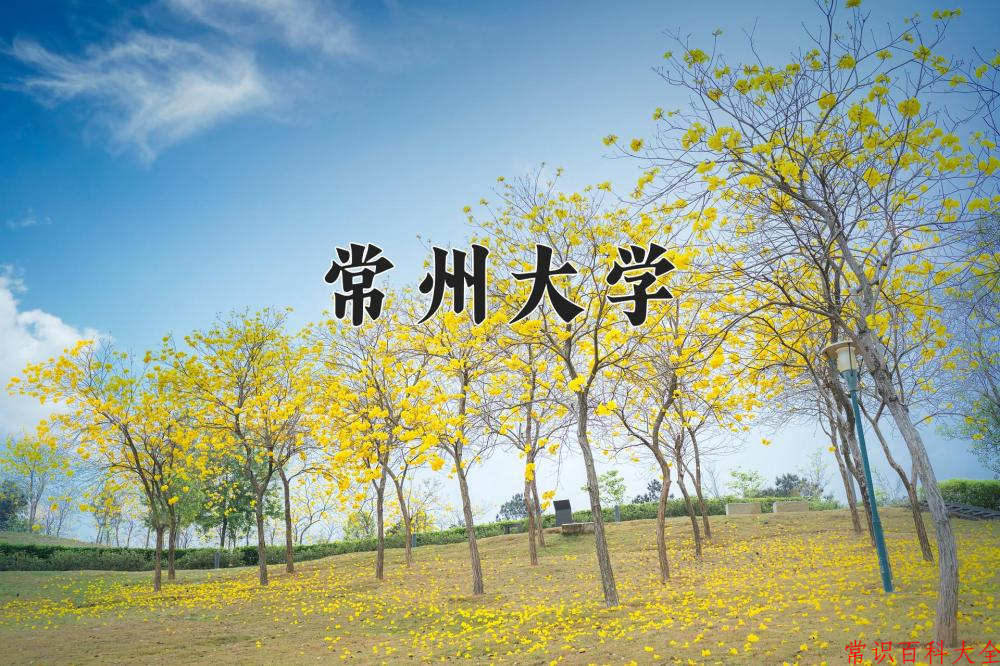 2024常州大学录取分数线及位次一览：重庆考生2025填报参考