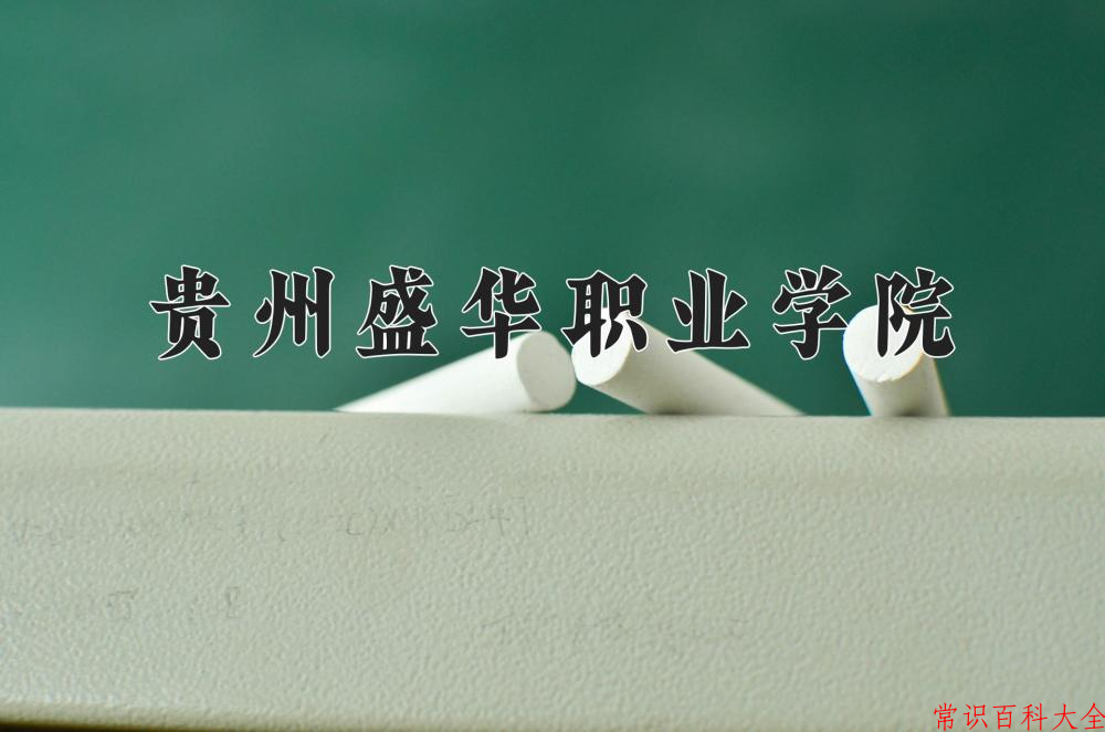 2024贵州盛华职业学院录取分数线及位次一览：四川考生2025填报参考