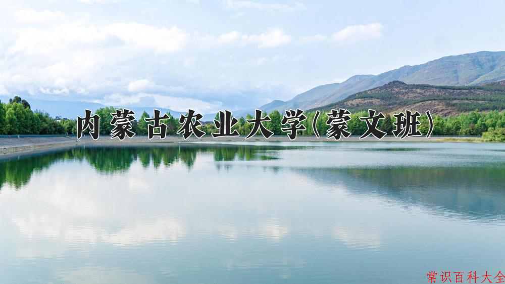 2024年内蒙古农业大学(蒙文班)在青海计划招生人数（附学费及专业录取分)