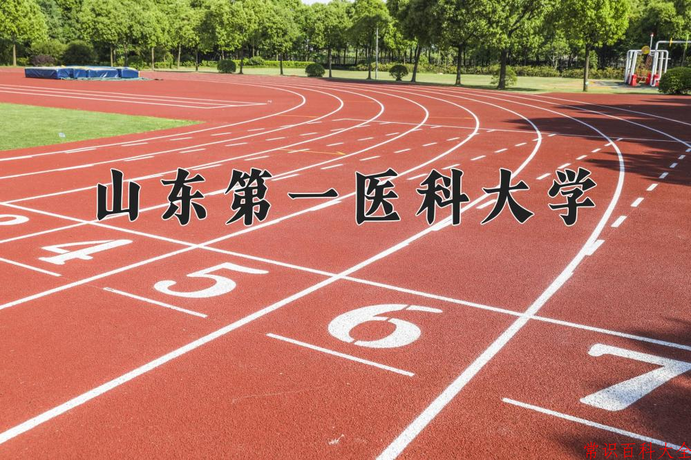 2024山东第一医科大学录取分数线：浙江最低536分