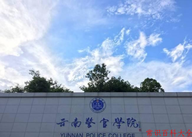 2024年云南警官学院在广东计划招生人数（附学费及专业录取分）