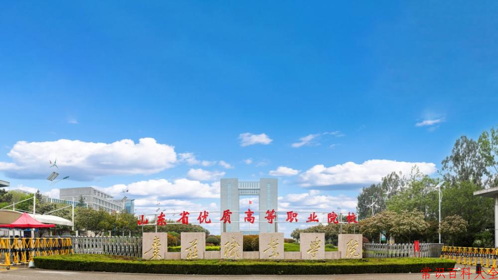 2024年枣庄职业学院在广东计划招生人数（附学费及专业录取分）