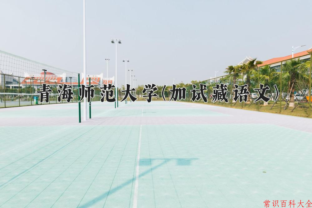 2024年青海师范大学(加试藏语文)在云南计划招生人数（附学费及专业录取分)