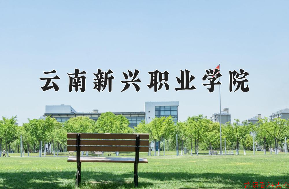 辽宁考生多少分能上云南新兴职业学院？2025最低249分