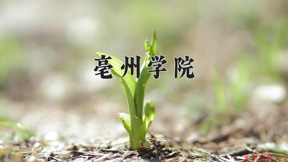 2024年亳州学院在山西计划招生人数（附学费及专业录取分)