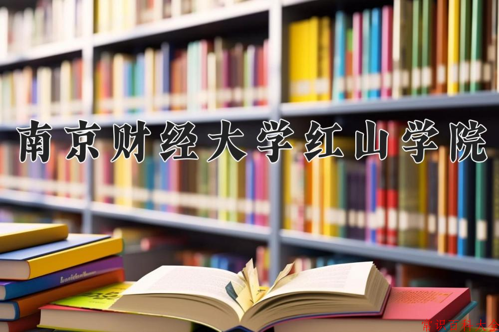 2024南京财经大学红山学院录取分数线及位次一览：重庆考生2025填报参考